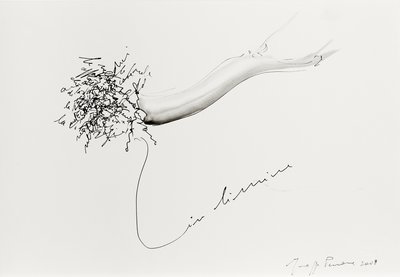 Giuseppe Penone, In limine (In Limine), 2008