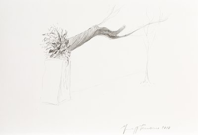 Giuseppe Penone, In limine (In Limine), 2010