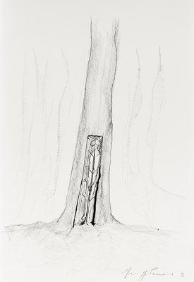 Giuseppe Penone, L’ombra del bronzo (The Shadow of Bronze), 1994