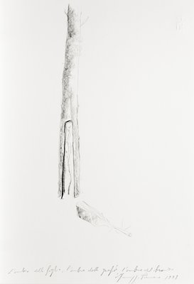 Giuseppe Penone, L’ombra delle foglie, l’ombra della grafite, l’ombra del bronzo (The Shadow of Leaves, the Shadow of Graphite, the Shadow of Bronze), 1997