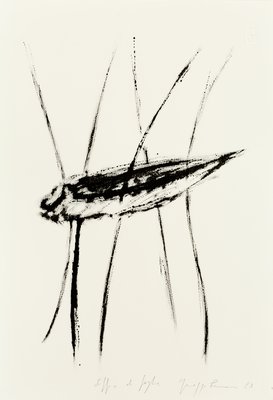 Giuseppe Penone, Soffio di foglie (Breath of Leaves), 1983