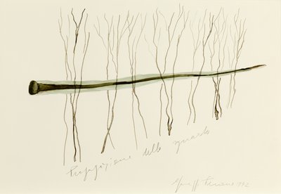 Giuseppe Penone, Propagazione dello sguardo (Propagation of the Gaze), 1992