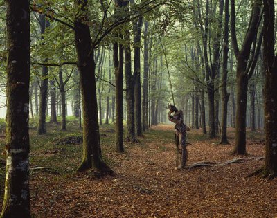 Giuseppe Penone, Sentiero (Sentier de charme) (Path (Sentier de charme)), 1986