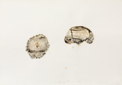 Giuseppe Penone, Senza titolo (Untitled), 1988