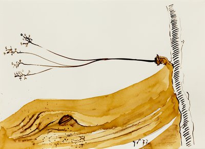 Giuseppe Penone, Senza titolo (Untitled), 1977