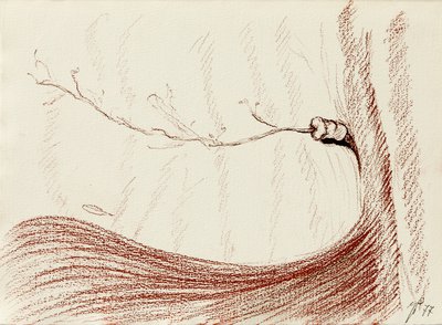 Giuseppe Penone, Senza titolo (Untitled), 1977