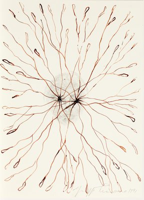 Giuseppe Penone, Sguardo vegetale (Vegetal Gaze), 1991