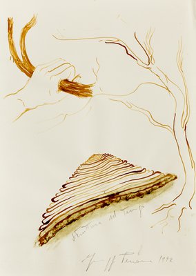 Giuseppe Penone, Struttura del tempo (Structure of Time), 1992