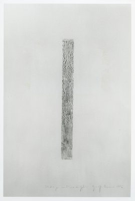 Giuseppe Penone, Studio per scultura di peli (Study for Hair Sculpture), 1974