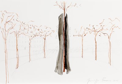 Giuseppe Penone, Tra scorza e scorza (Between Bark and Bark), 2004