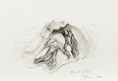 Giuseppe Penone, Vene di pietra (Stone Veins), 1990