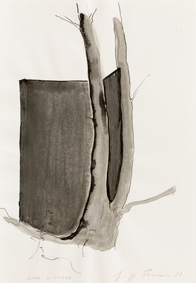 Giuseppe Penone, Zona d’ombra (Shaded Area), 1981