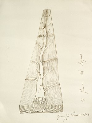 Giuseppe Penone, Il fluire del legno (The Flow of Wood), 1969