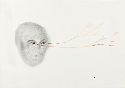 Giuseppe Penone, Sguardo vegetale (Vegetal Gaze), 1991