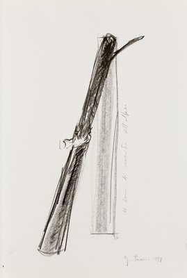 Giuseppe Penone, 10 anni di crescita dell’albero (10 Years of Growth of the Tree), 1978