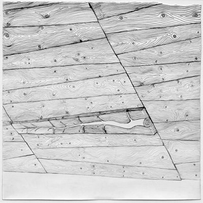 Giuseppe Penone, Gli alberi del soffitto (The Trees of the Ceiling), 1970