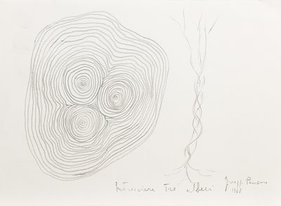 Giuseppe Penone, Intrecciare tre alberi (To Braid Tree Threes), 1968