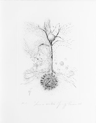Giuseppe Penone, Luce e ombra (Light and Shadow), 2018