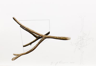 Giuseppe Penone, Senza titolo (Untitled), 2003