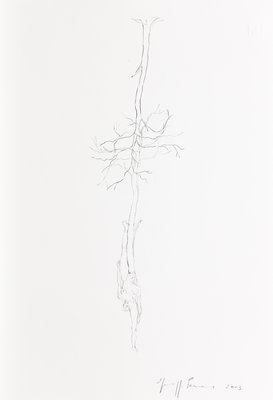 Giuseppe Penone, Senza titolo (Untitled), 2003