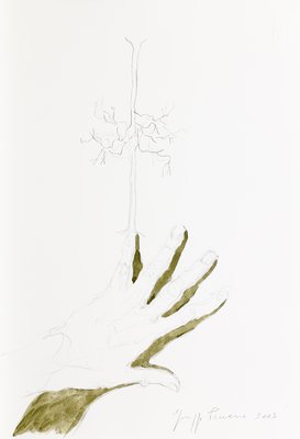 Giuseppe Penone, Senza titolo (Untitled), 2003