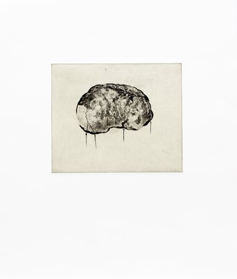 Giuseppe Penone, Cervello II (Brain II), 2000