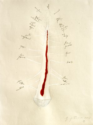 Giuseppe Penone, Matrice di linfa (Lymph Matrix), 2008