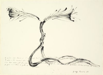 Giuseppe Penone, Studio per Sentiero (Study for Path), 1982