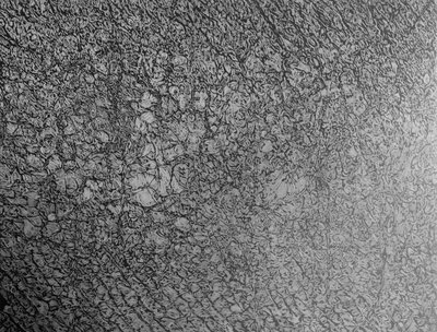 Giuseppe Penone, Pelle di grafite – riflesso di magnetite (Skin of Graphite – Reflection of Magnetite), 2006
