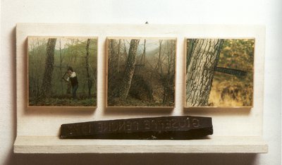 Giuseppe Penone, Scrive legge ricorda (Writes Reads Remembers), 1969