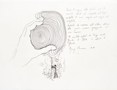 Giuseppe Penone, Sento il respiro della foresta (I Feel the Breath of the Forest), 1968