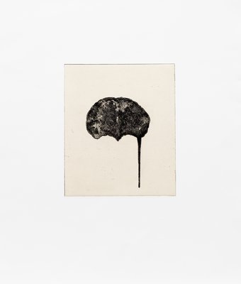 Giuseppe Penone, Cervello I (Brain I), 2000
