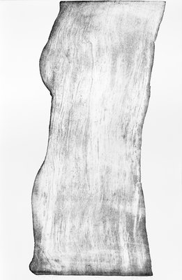 Giuseppe Penone, Images de pierres (Images de pierres), 1993