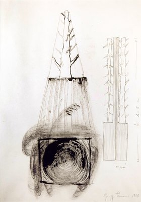 Giuseppe Penone, Senza titolo (Untitled), 1987