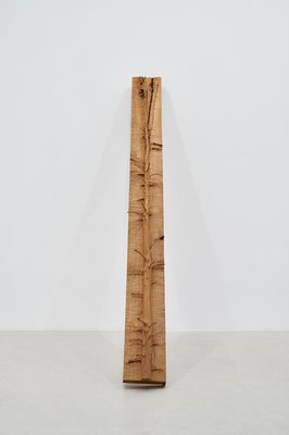 Giuseppe Penone, Albero di 3 metri (3-Meter Tree), 2026