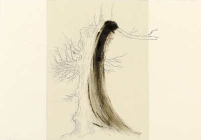 Giuseppe Penone, Studio per Alberi (Study for Trees), 1973