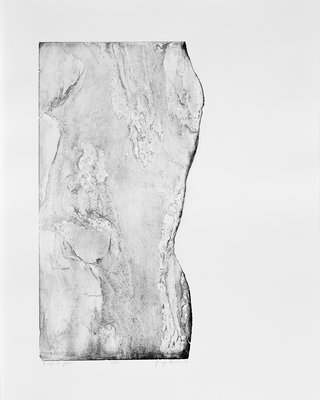 Giuseppe Penone, Images de pierres (Images de pierres), 1993