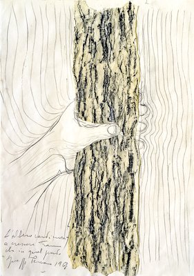 Giuseppe Penone, L’albero continuerà a crescere tranne che in quel punto (The Tree Will Continue to Grow Except at that Point), 1968