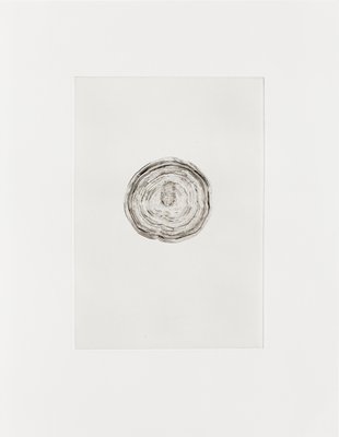 Giuseppe Penone, Spazio di luce (Space of Light), 2012