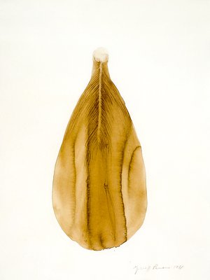 Giuseppe Penone, Soffio (Breath), 1978