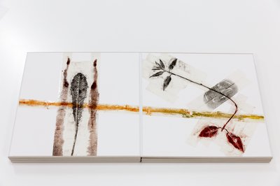 Giuseppe Penone, 16 pagine (16 Pages), 2011