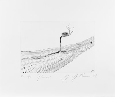Giuseppe Penone, Fleuve (Fleuve), 2019