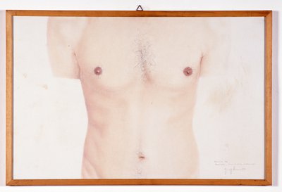 Giuseppe Penone, Progetto per proiettore, calco di gesso, diapositiva (Project for Projector, Plaster Cast, Slide), 1972