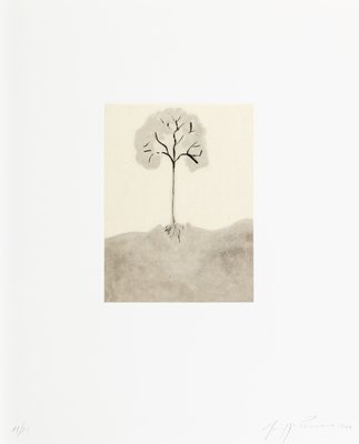 Giuseppe Penone, Passi Sulle Cime Dei Gelsi (Footsteps on Mulberry Tree Tops), 2000