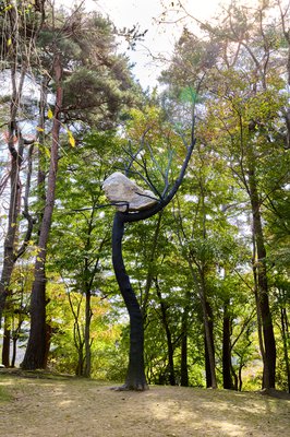 Giuseppe Penone, Idee di pietra – Olmo (Ideas of Stone – Elm), 2008