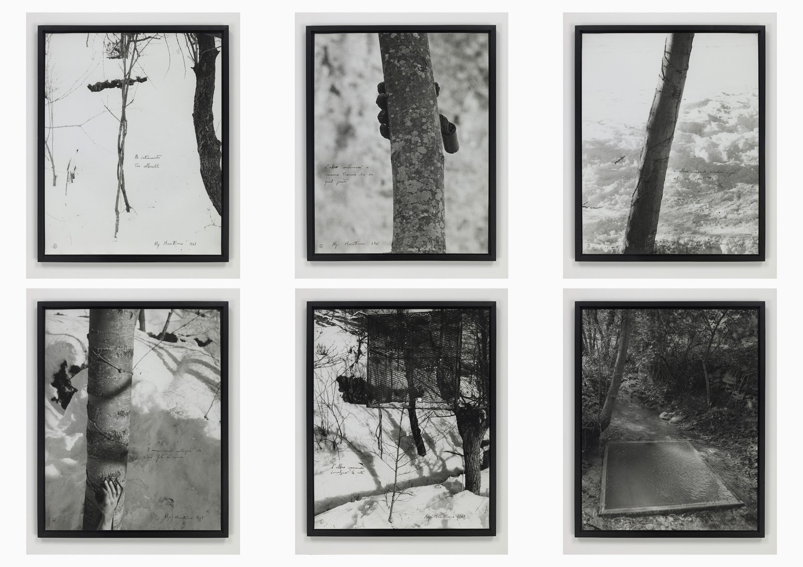 Alpi Marittime (Maritime Alps), 1968 (Cod. 2264) Works Giuseppe Penone