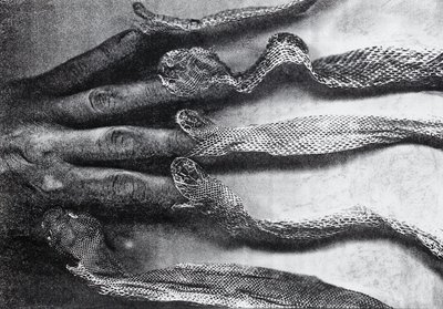 Giuseppe Penone, Mute (Snakeskins), 2018
