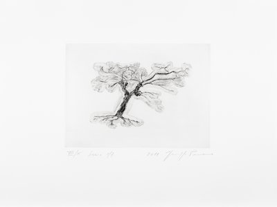 Giuseppe Penone, Transcription musicale de la structure des arbres. Ardèche 2011 (Transcription musicale de la structure des arbres. Ardèche 2011), 2011