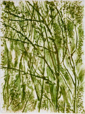 Giuseppe Penone, Verde del bosco (Forest Green), 1984